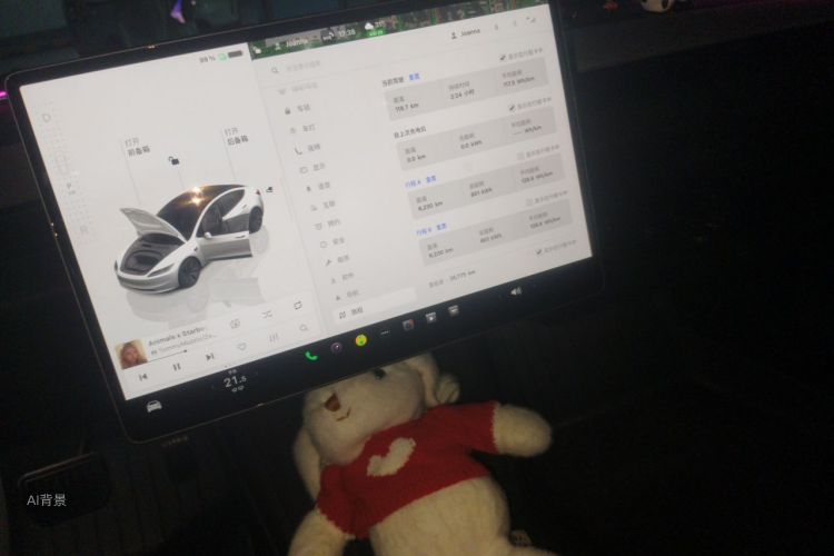 Tesla Model 3 2023 car image #15