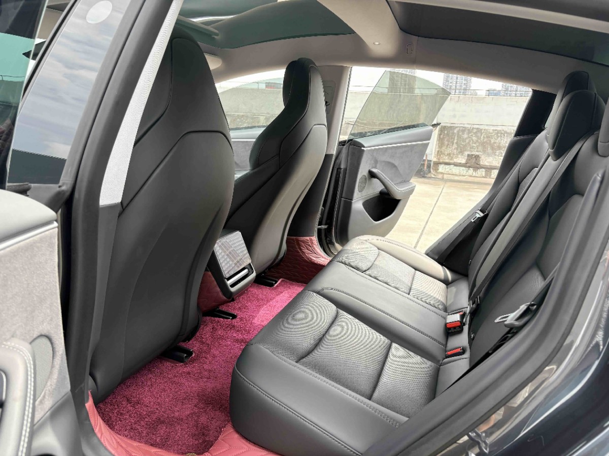 Tesla Model 3 2025 car image #9