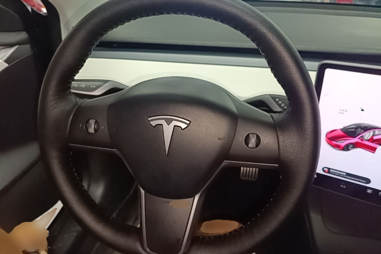 Tesla Model 3 2021 car image #11