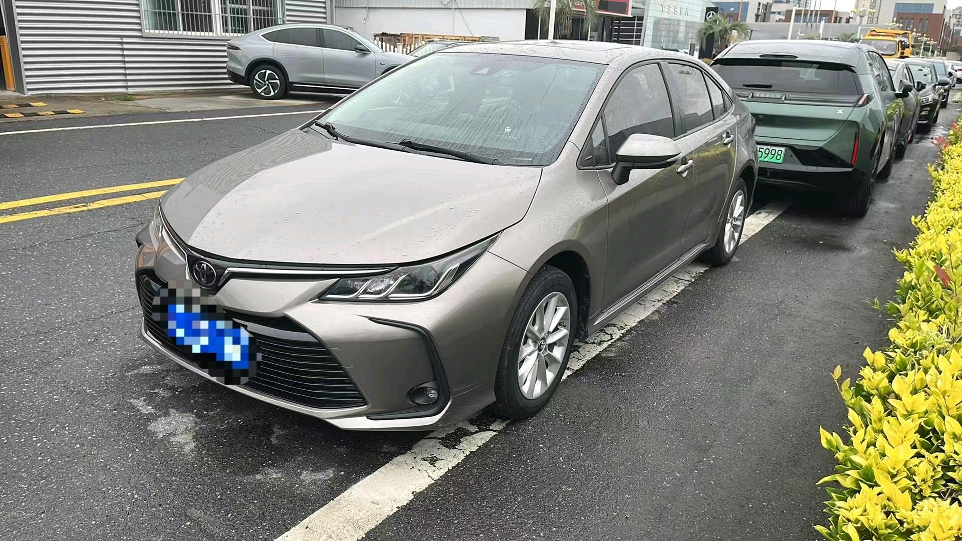 Toyota Corolla 2021 car image 