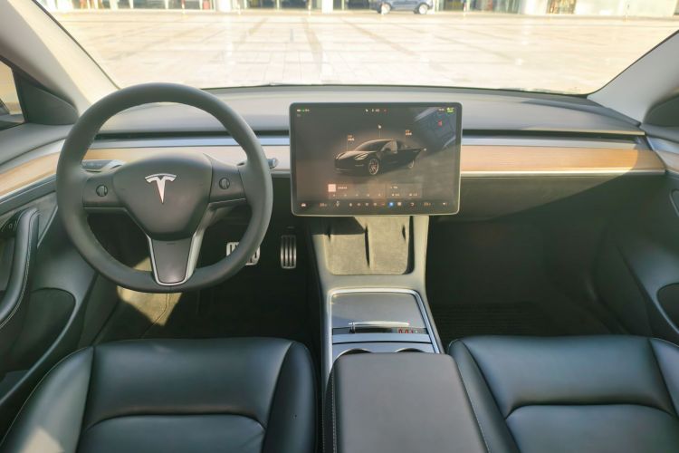 Tesla Model 3 2022 immagine di auto #16