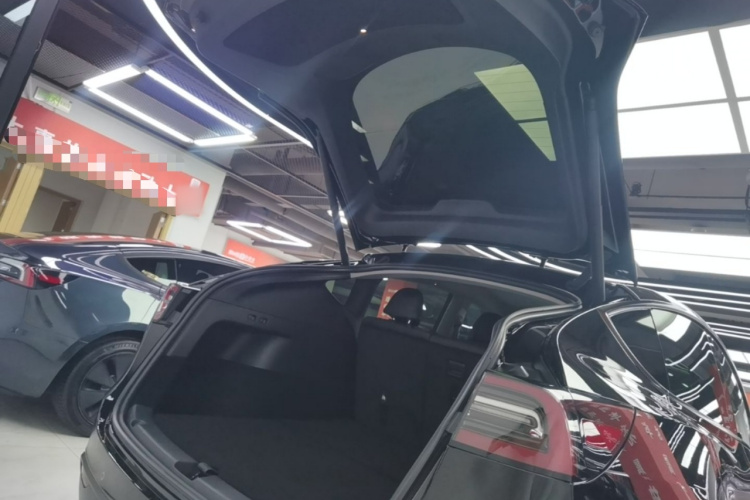 Tesla Model Y 2023 #21 Tesla Model Y 2023 car image #21