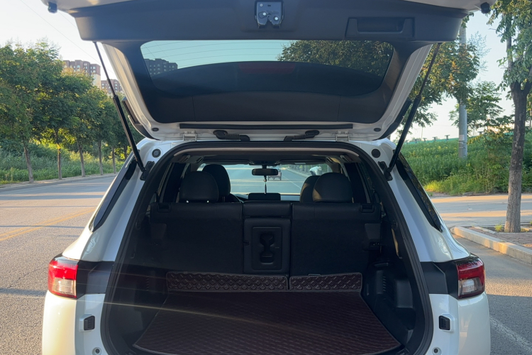 2023 #20 2023 car image #20