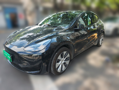 Tesla Model Y 2023 Tesla Model Y 2023 car image