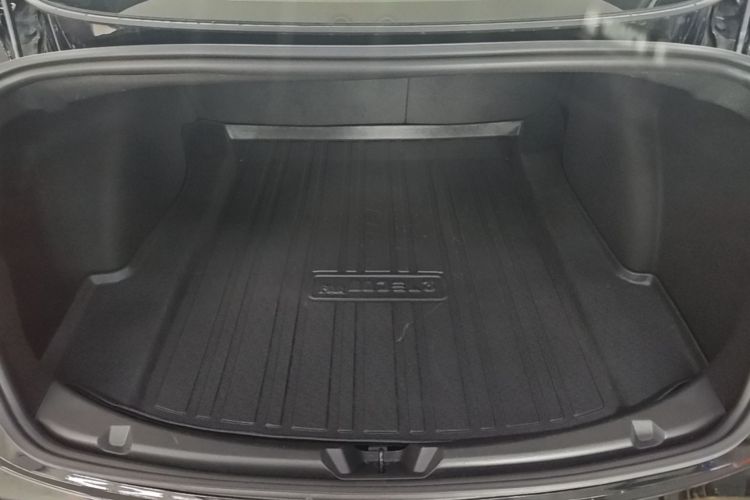 Tesla Model 3 2020 car image #19