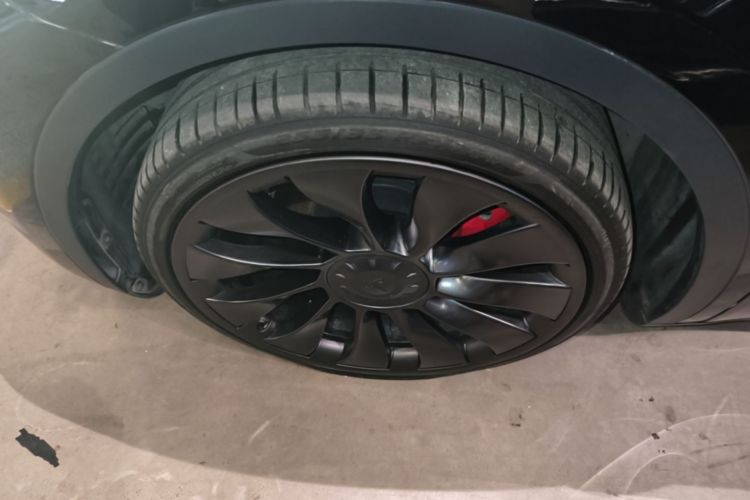Tesla Model Y 2023 #9 Tesla Model Y 2023 car image #9
