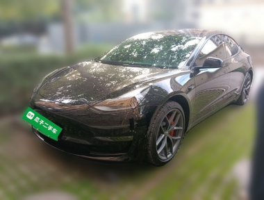 Tesla Model 3 2022 Tesla Model 3 2022 car image