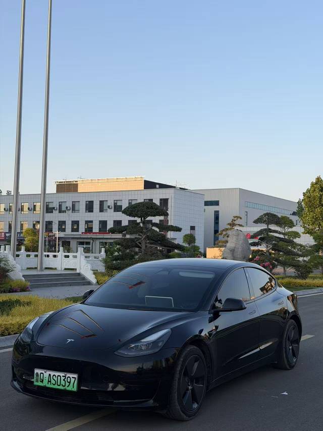 Tesla Model 3 2023 car image 