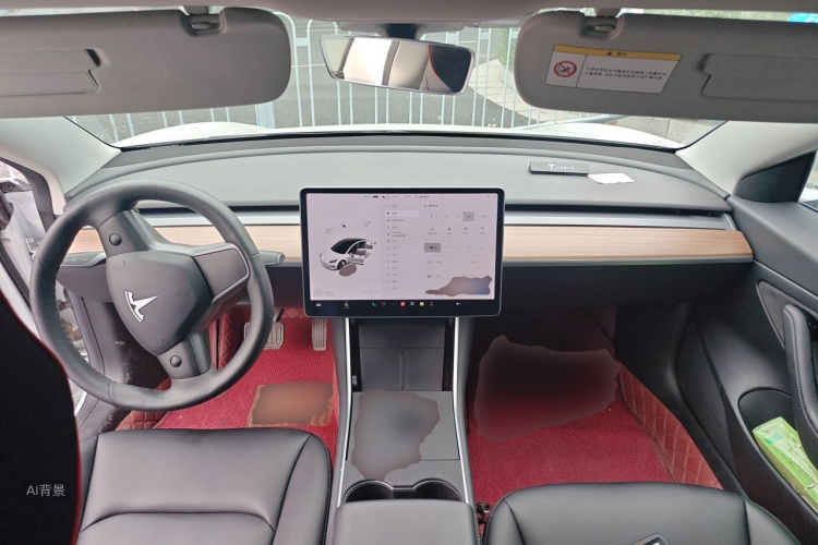 Tesla Model 3 2020 car image #11