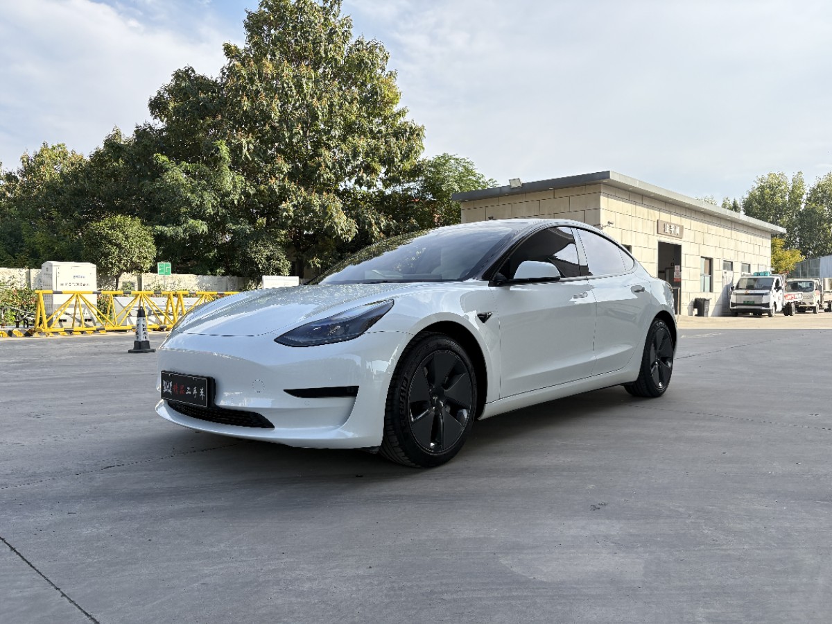 Tesla Model 3 2021 car image #3