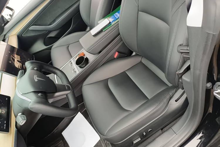 Tesla Model 3 2023 car image #15