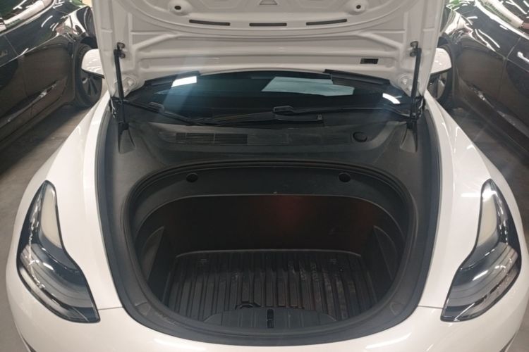 Tesla Model 3 2021 #20 Tesla Model 3 2021 car image #20