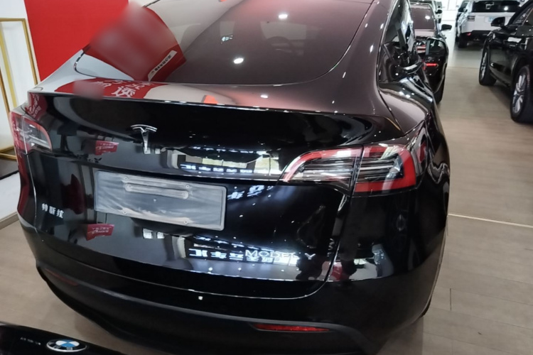 Tesla Model Y 2023 #6 Tesla Model Y 2023 car image #6