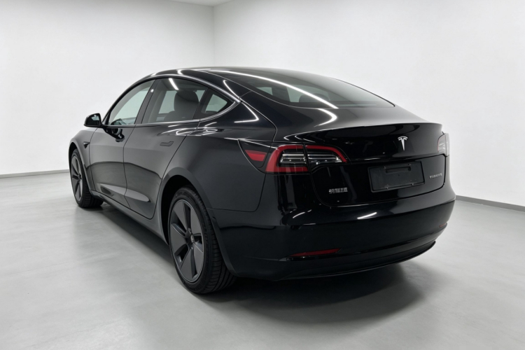 Tesla Model 3 2023 #5 Tesla Model 3 2023 car image #5