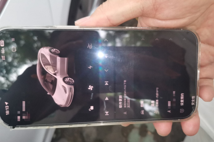 Tesla Model 3 2020 car image #11