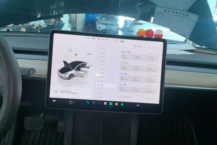 Tesla Model 3 2023 imagem de carro #13