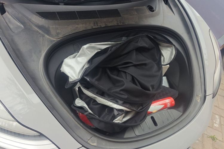 Tesla Model 3 2020 #28 Tesla Model 3 2020 car image #28
