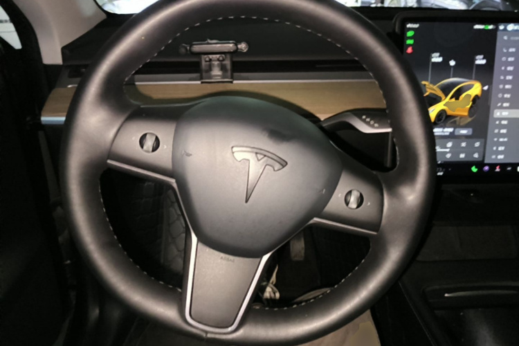 Tesla Model Y 2021 car image #11