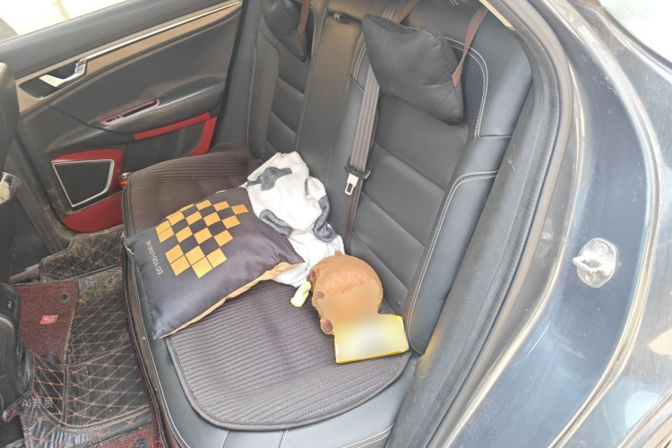 GEELY Emgrand GS 2017 car image #19