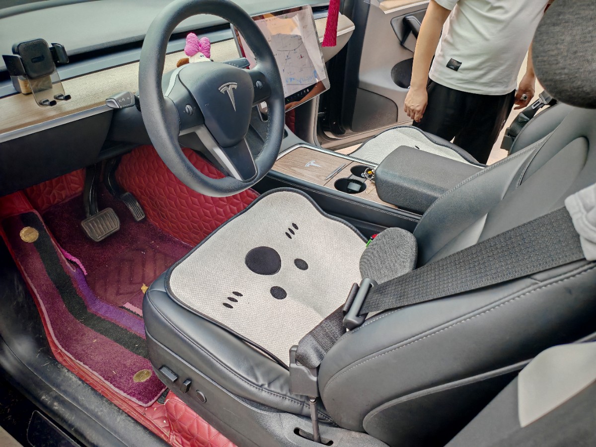 Tesla Model Y 2021 #5 Tesla Model Y 2021 car image #5