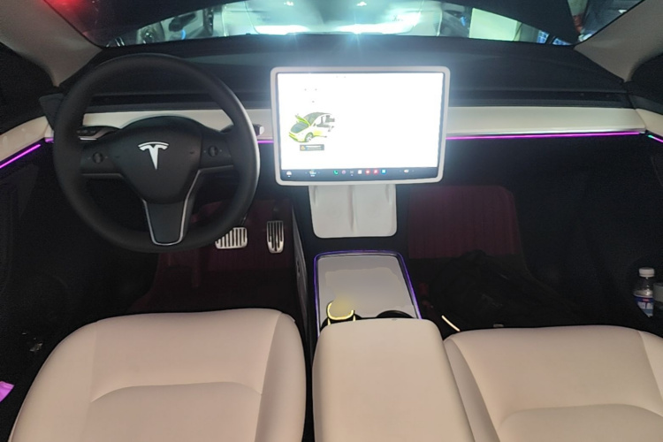 Tesla Model Y 2021 car image #10