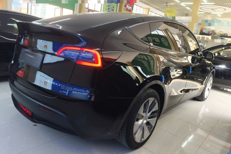 Tesla Model Y 2022 immagine di auto #7
