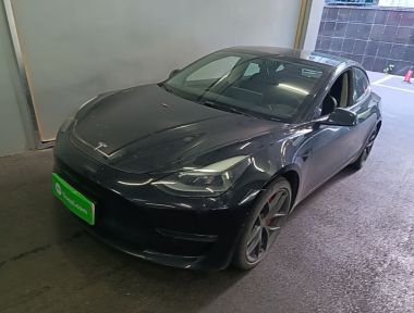 Tesla Model 3 2022 car image 
