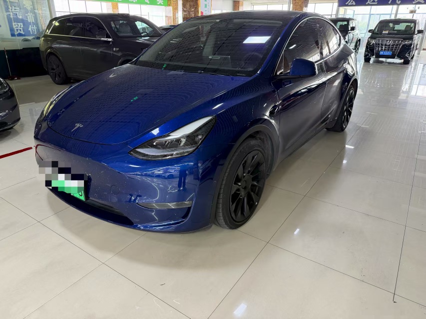 Tesla Model Y 2021 Tesla Model Y 2021 car image
