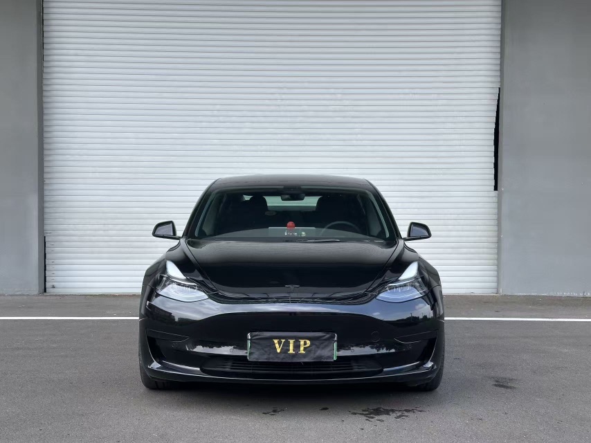 Tesla Model 3 2021 car image #2