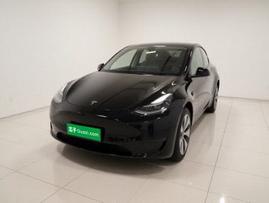 Tesla Model Y 2022 car image 