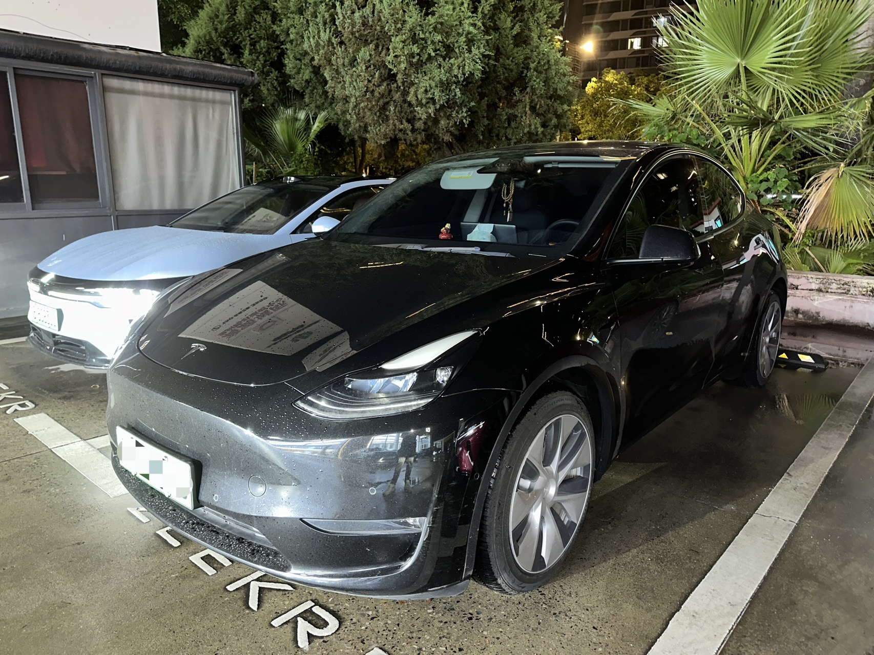 Tesla Model Y 2021 Tesla Model Y 2021 car image