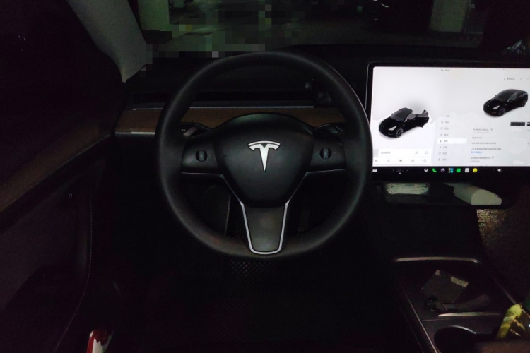 Tesla Model Y 2021 #11 Tesla Model Y 2021 car image #11