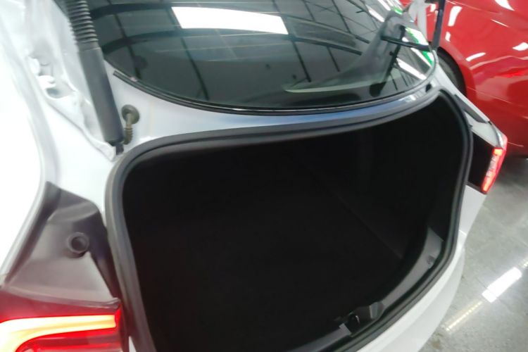 Tesla Model 3 2021 car image #19