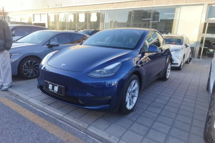 Tesla Model Y 2021 #2 Tesla Model Y 2021 صورة سيارة #2