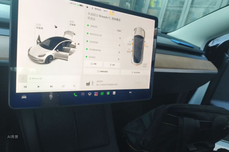 Tesla Model 3 2021 #15 Tesla Model 3 2021 car image #15
