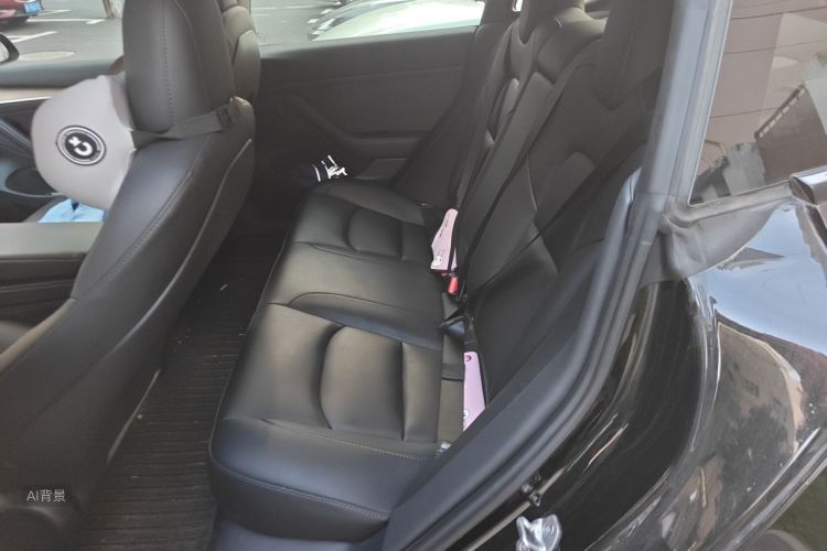 Tesla Model 3 2022 car image #19