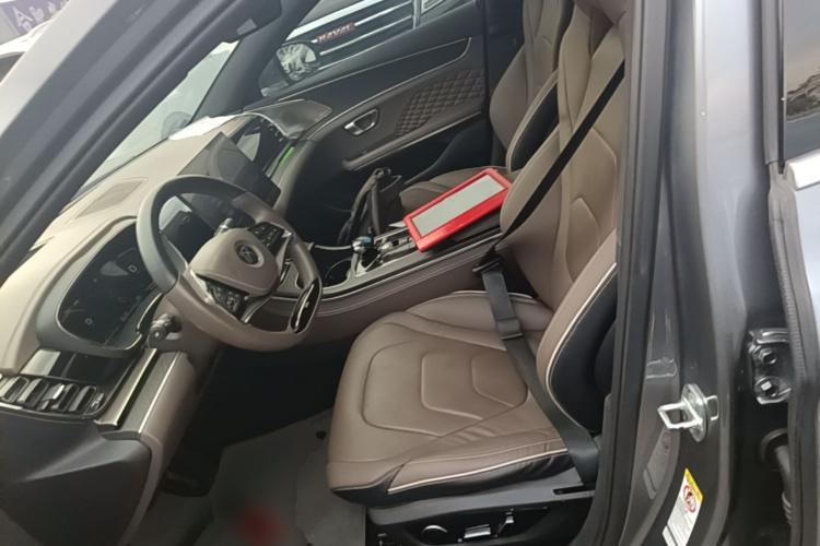 BYD Han 2022 #15 BYD Han 2022 immagine di auto #15