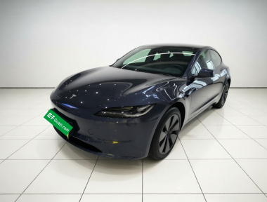 Tesla Model 3 2024 car image 