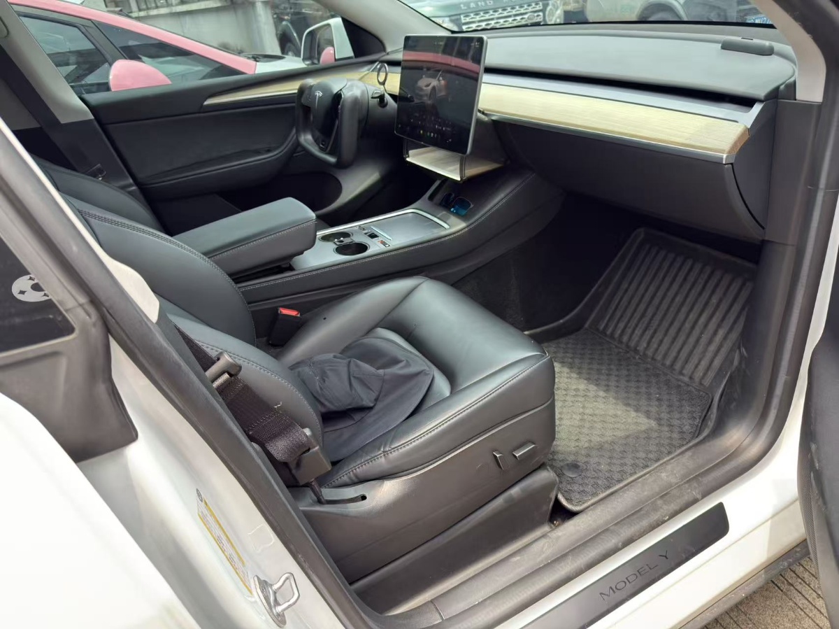 Tesla Model Y 2023 car image #8