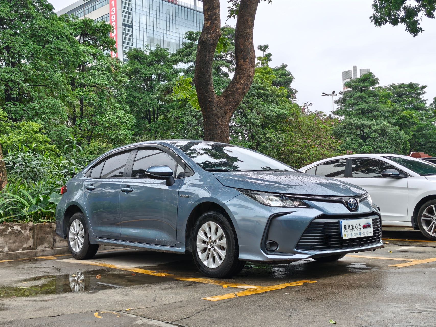 Toyota Corolla 2022 #3 Toyota Corolla 2022 car image #3