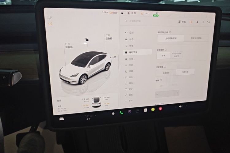 Tesla Model Y 2023 car image #13