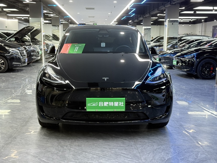 Tesla Model Y 2022 car image #2