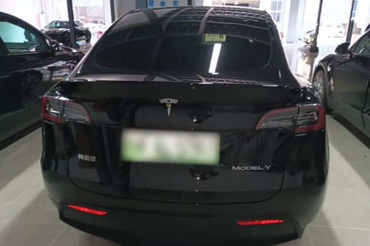 Tesla Model Y 2022 car image #4