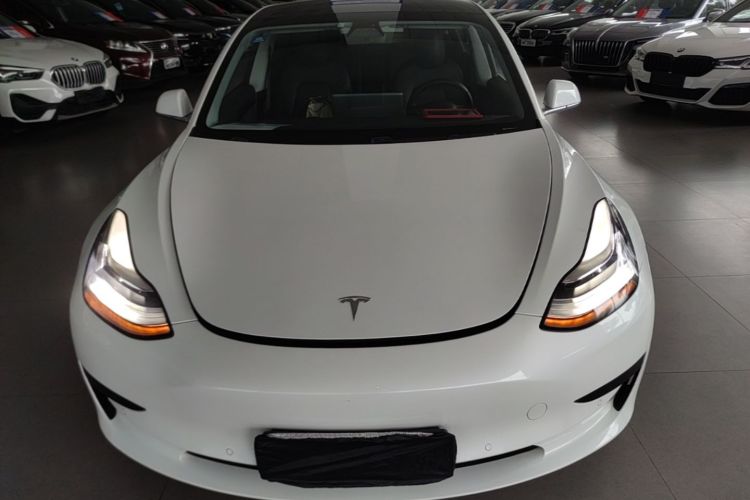 Tesla Model 3 2020 car image #3