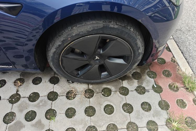 Tesla Model 3 2021 car image #9
