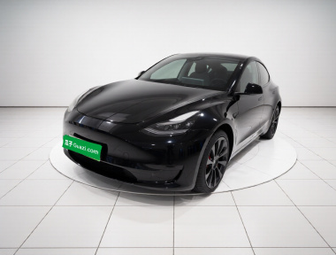 Tesla Model Y 2022 Tesla Model Y 2022 car image
