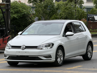 Volkswagen Golf 2019 Volkswagen Golf 2019 car image