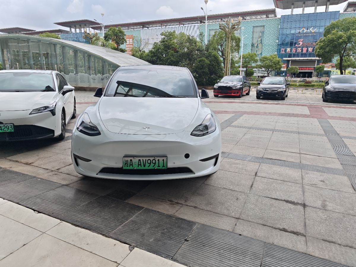 Tesla Model Y 2021 car image 