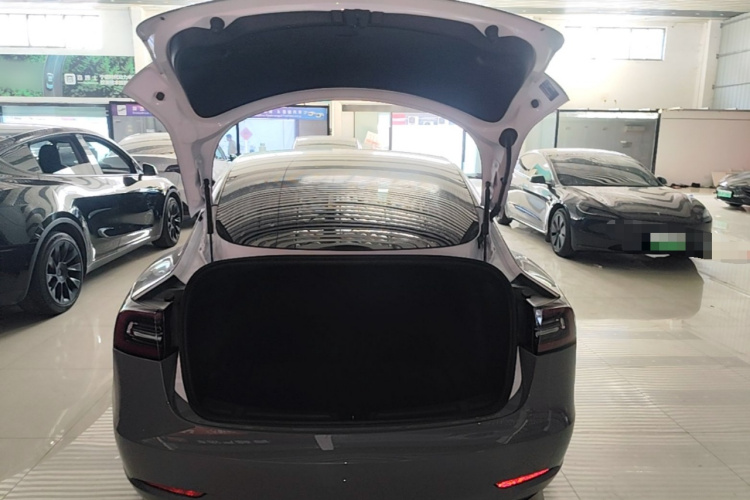 Tesla Model 3 2020 car image #19