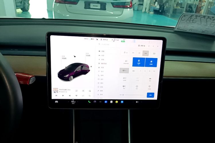 Tesla Model 3 2020 car image #13